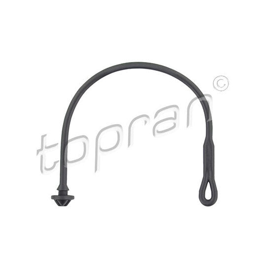 103 166 Strap, cargo space cover