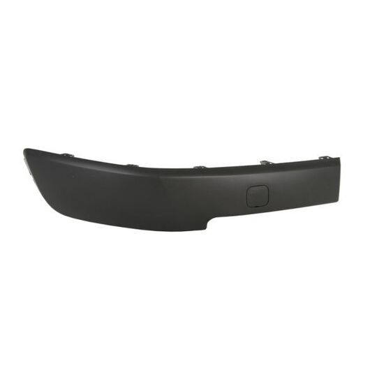 5507-00-6041922P Trim/Protective Strip, bumper