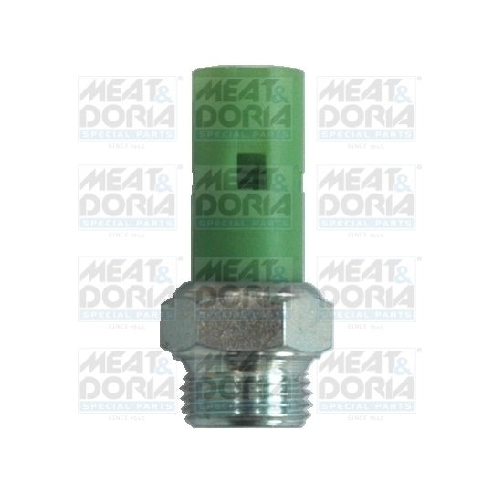 72021 Oil Pressure Switch