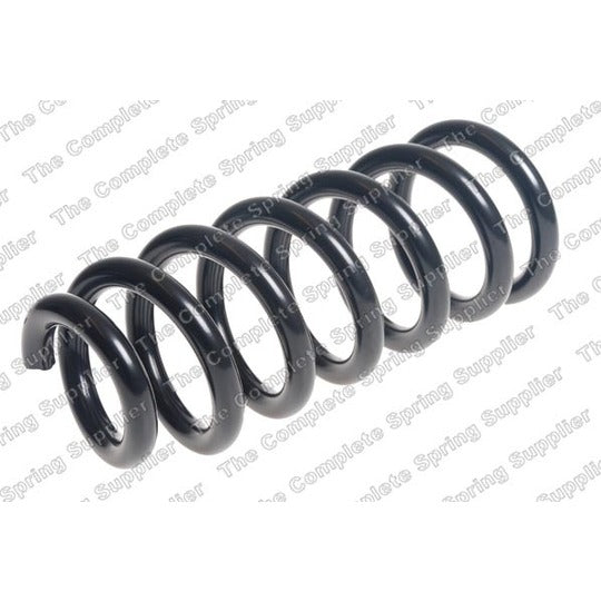 25099 Coil Spring