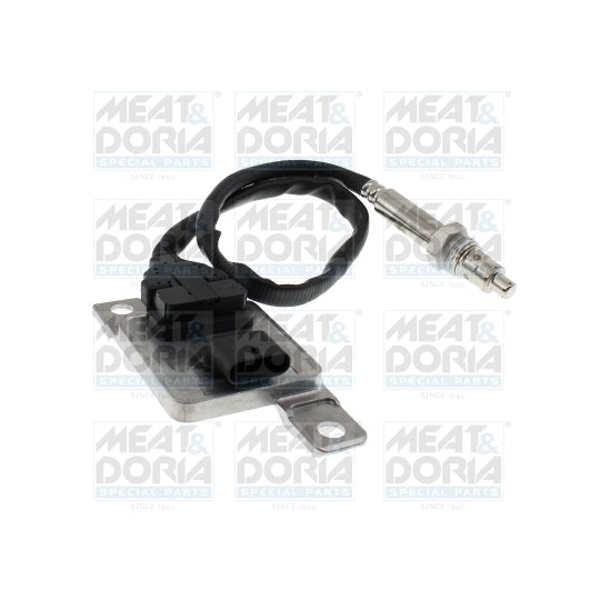 57072 NOx Sensor, NOx Catalyst