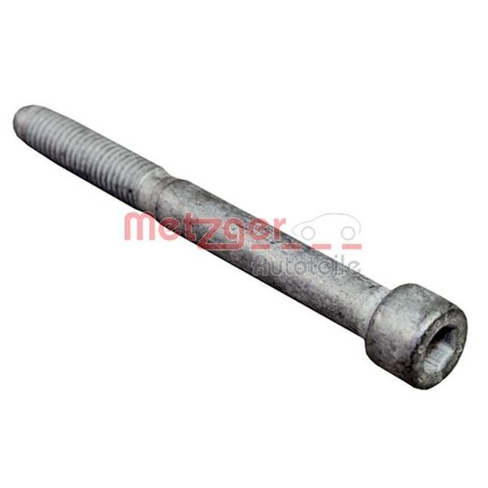 0870135S Screw, injection nozzle holder