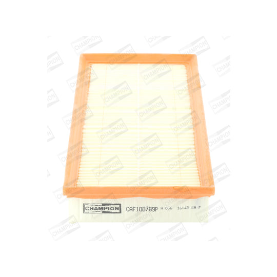 CAF100789P Air filter