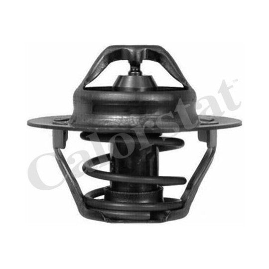 TH6047.89J Thermostat, coolant