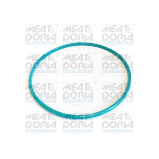 GSK01 Seal, fuel sender unit