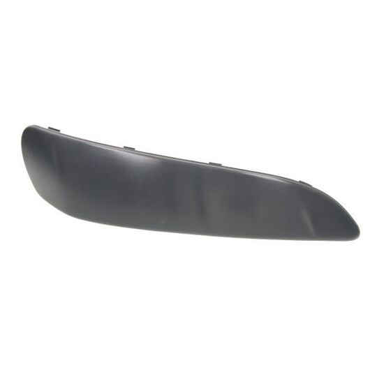 5513-00-8101926Q Trim/Protective Strip, bumper