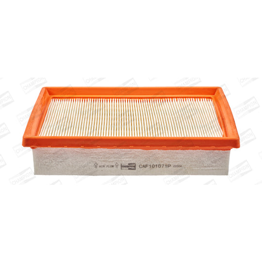 CAF101071P Air filter
