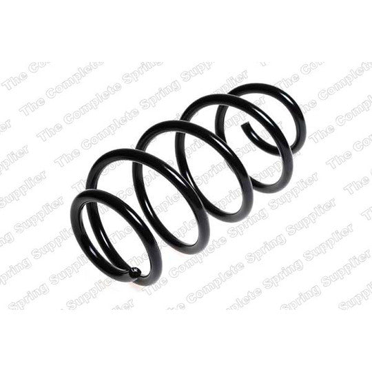 25029 Coil Spring