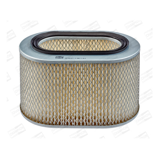 CAF100419C Air filter