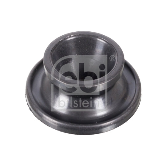 104492 Filler Cap, axle cap