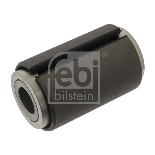 100662 Mounting, leaf spring