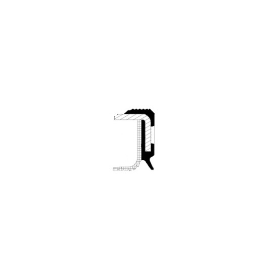 19037091B Shaft Seal, crankshaft