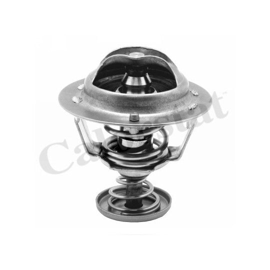 TH6295.82J Thermostat, coolant