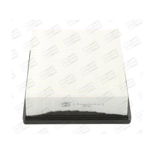 CAF100793P Air filter