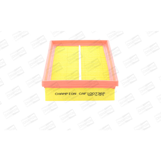 CAF100736P Air filter