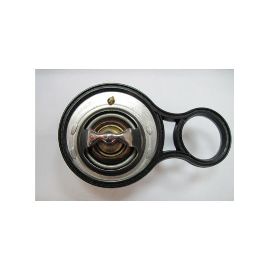 718-91K Thermostat, coolant