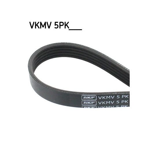 VKMV 5PK970 V-Ribbed Belt