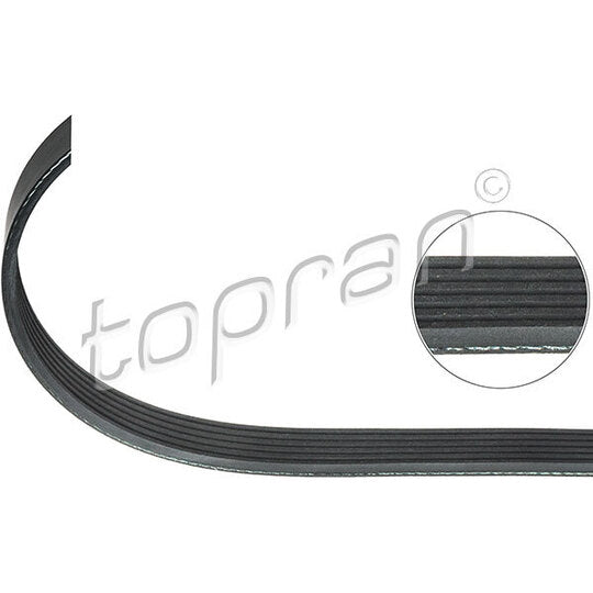 110 095 V-Ribbed Belt