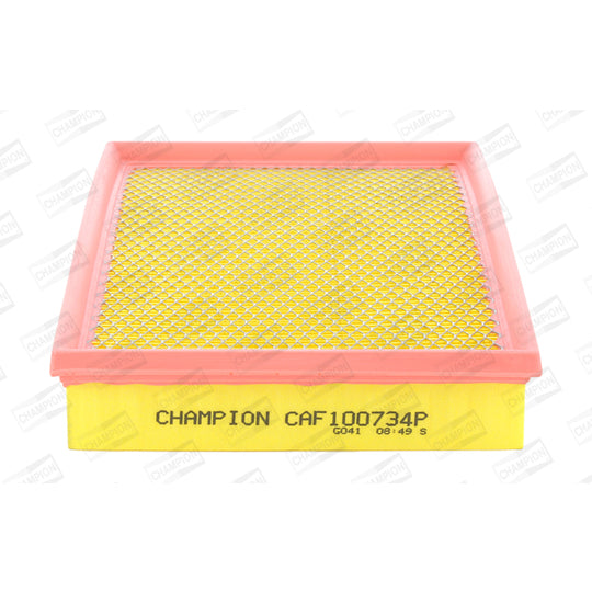 CAF100734P Air filter