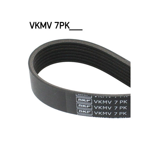 VKMV 7PK1127 V-Ribbed Belt