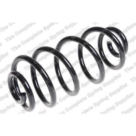 60065 Coil Spring