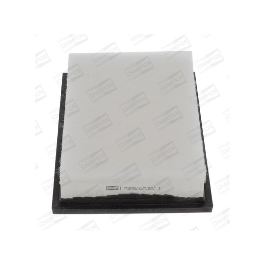 CAF101201P Air filter