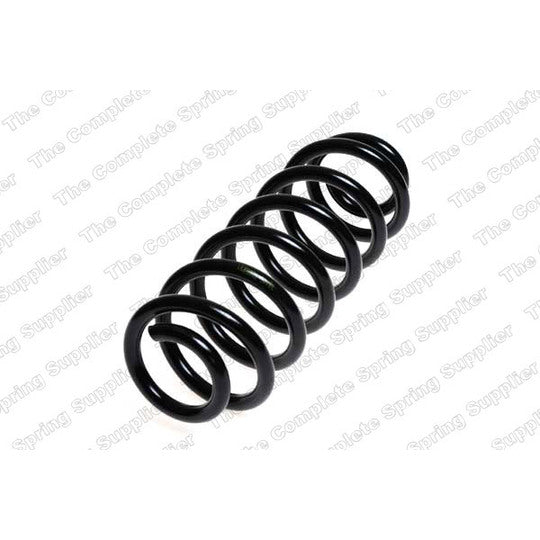 63119 Coil Spring