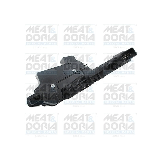 31393 Door Lock