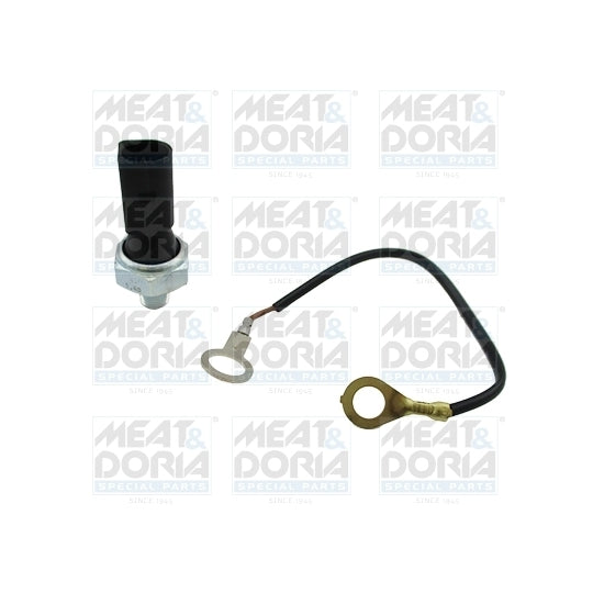 72100 Oil Pressure Switch