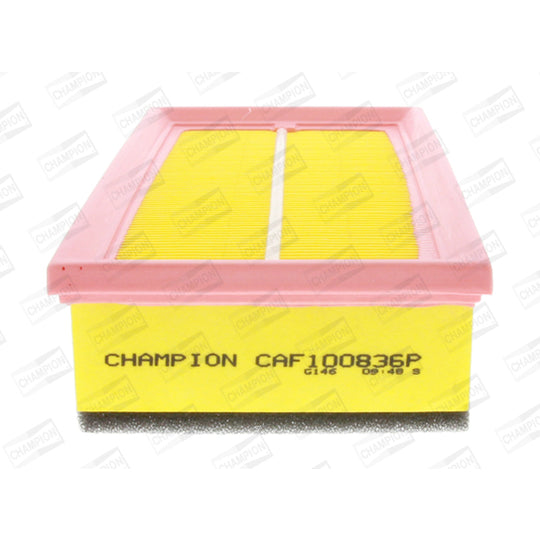 CAF100836P Air filter