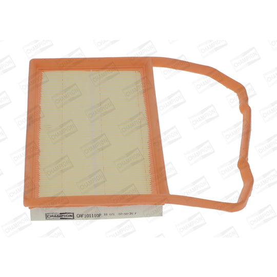 CAF101110P Air filter