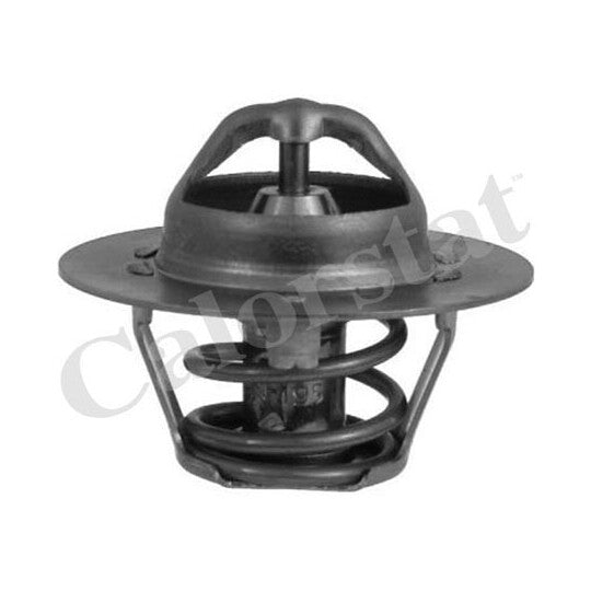 TH6318.89J Thermostat, coolant