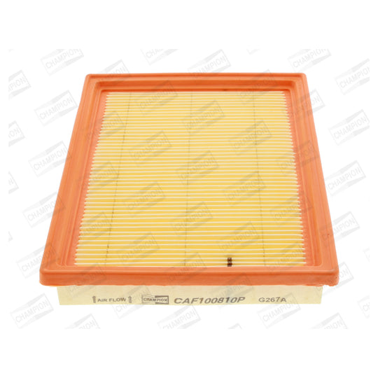 CAF100810P Air filter