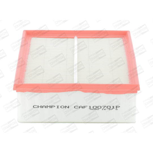 CAF100701P Air filter