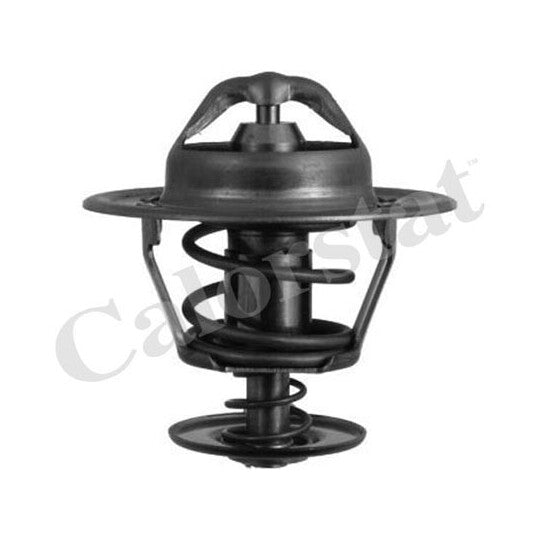 TH6007.88J Thermostat, coolant