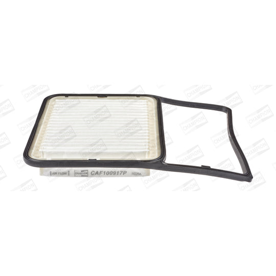 CAF100917P Air filter