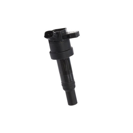 134081 Ignition coil