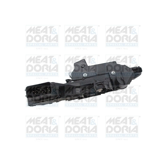 31394 Door Lock