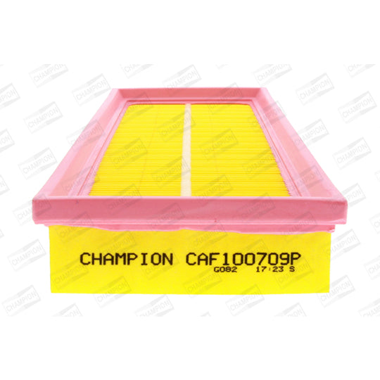 CAF100709P Air filter