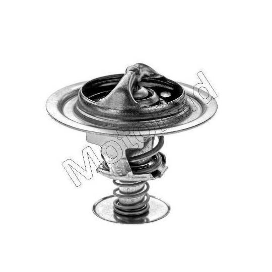 302-77K Thermostat, coolant