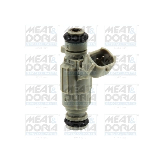 75114102 Injector