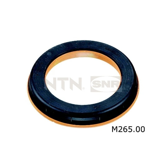 M265.00 Repair Kit, suspension strut