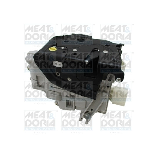 31194 Door Lock