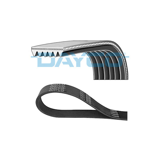 6PK875 V-Ribbed Belt