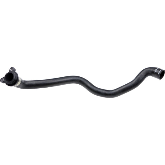 02-1981 Radiator Hose