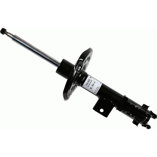 316 873 Shock Absorber