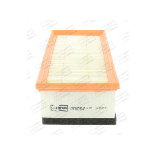 CAF100974P Air filter