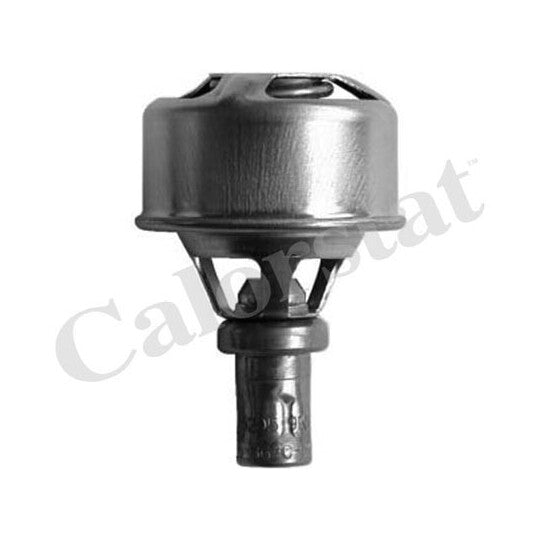 TH4495.83 Thermostat, coolant