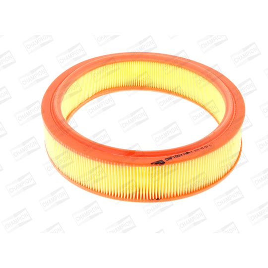 CAF100719R Air filter
