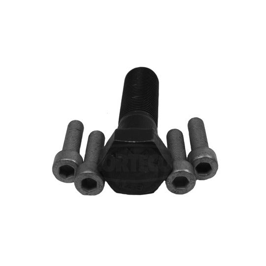 80001246 Bolt Set, crankshaft pulley